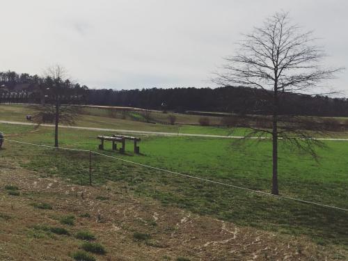 Penasaran Sama Film Black Panther? Ini Lokasi Syuting Filmnya di Amerika Serikat